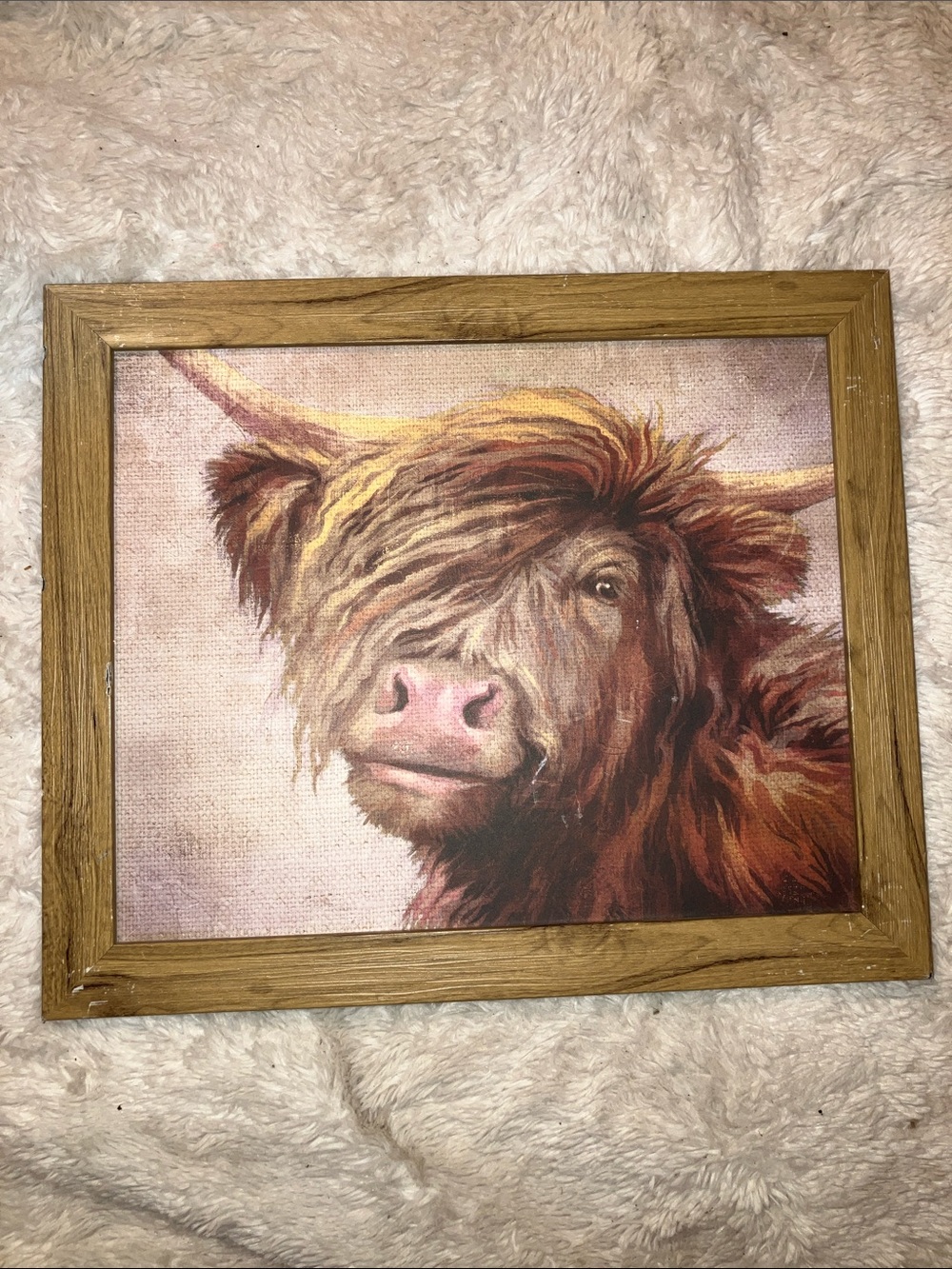 Framed Highland Cow Canvas Wall Art in Brown and Pink